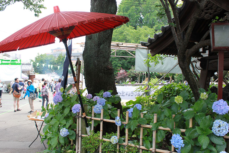 白山神社の庭