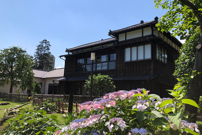 肥後細川庭園の紫陽花と集会所