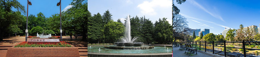 東京都立9庭園-日比谷公園