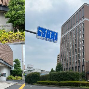 文京区にある日本大学豊山中学校ってどんな学校？