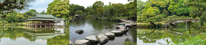 東京都立9庭園-清澄庭園