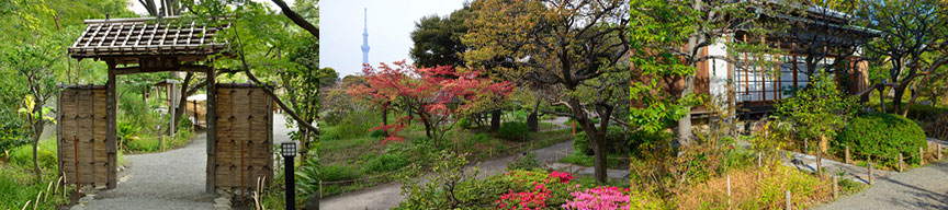 東京都立9庭園-向島百花園