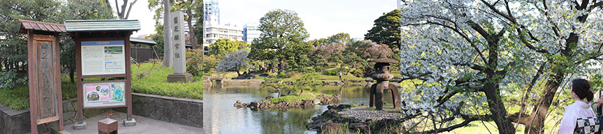 東京都立9庭園-旧芝離宮恩賜庭園