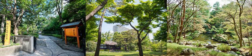 東京9庭園-殿ヶ谷庭園