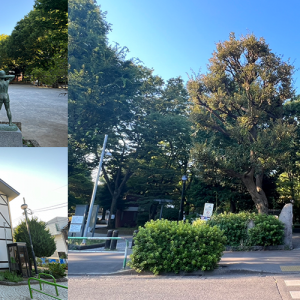 文京区大塚にあるラジオ体操発祥の地の大塚公園ってどんな公園？