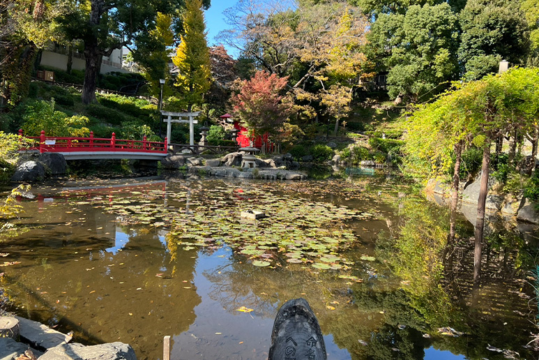 文京区立須藤公園　池