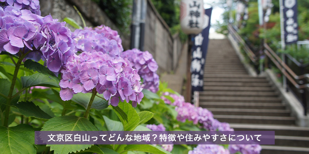 文京区白山ってどんな地域？特徴や住みやすさについて