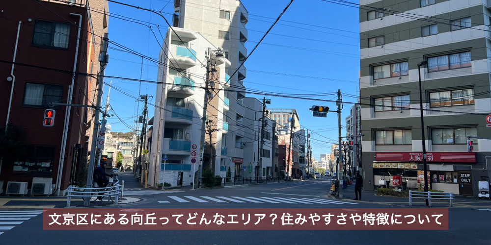 東京都文京区にある向丘ってどんなエリア？住みやすさや特徴について