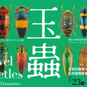 玉蟲 −生きた宝石− トップイメージ