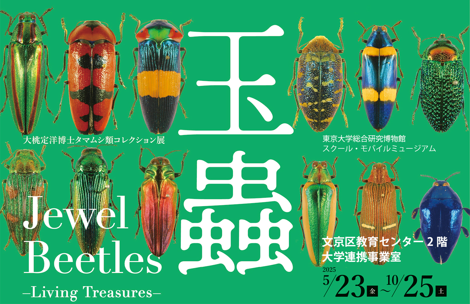 玉蟲 −生きた宝石−　トップイメージ