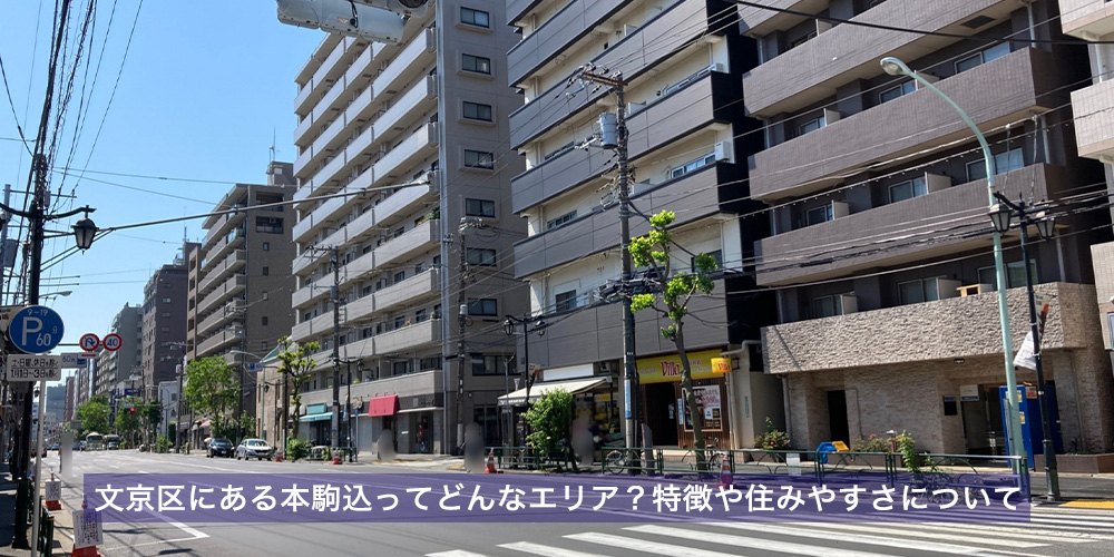 文京区にある本駒込ってどんなエリア?特徴や住みやすさについて