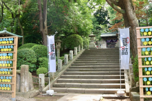 駒込稲荷神社かざぐるま会場