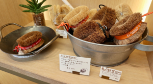 カメノコタワシObi ¥550
