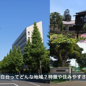 文京区目白台ってどんな地域？特徴や住みやすさについて