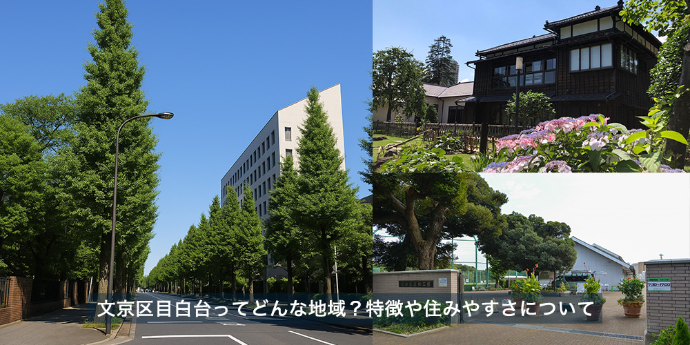 文京区目白台ってどんな地域？特徴や住みやすさについて