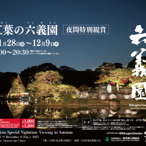 庭紅葉の六義園
