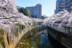 神田川