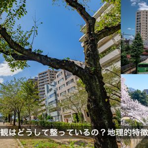 文京区の景観はどうして整っているの？地理的特徴や景観計画