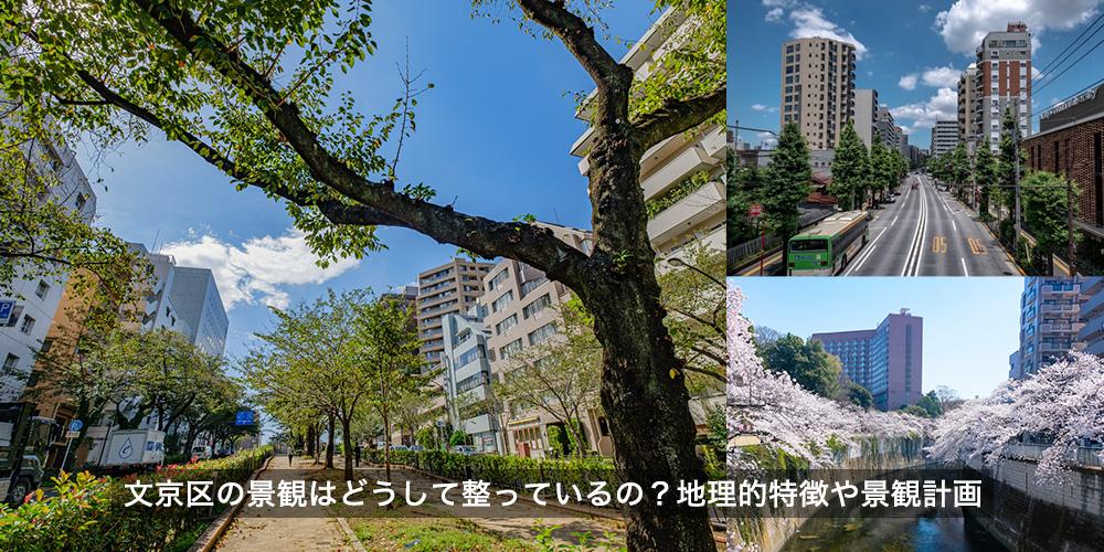 文京区の景観はどうして整っているの？地理的特徴や景観計画